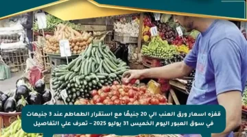 قفزة أسعار ورق العنب إلى 20 جنيهًا مع استقرار الطماطم عند 3 جنيهات في سوق العبور اليوم الخميس 31 يوليو 2025 – تعرف على التفاصيل